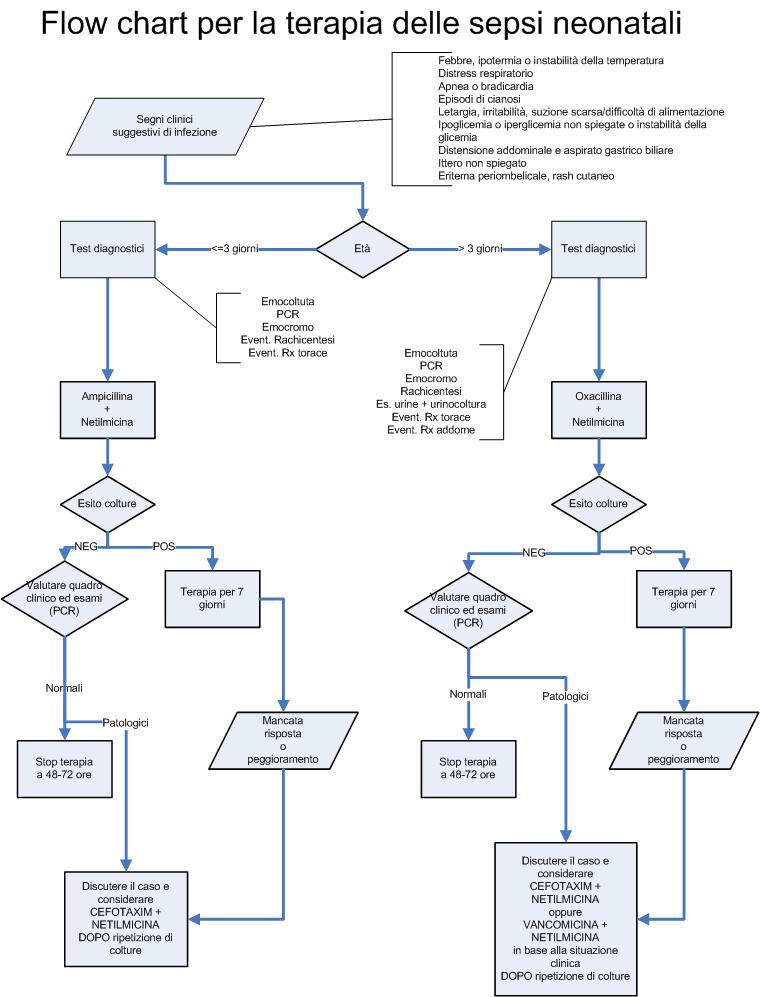 flow_chart_terapia_sepsi_2010.jpg