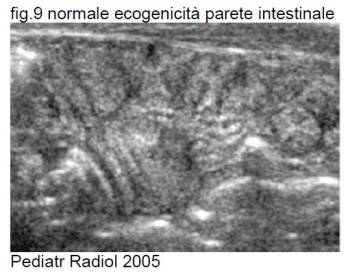 eco_nec_9.jpg